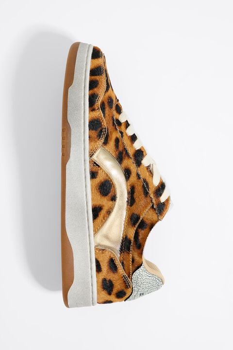 Deportiva cupsole 13 57 pelo print leopardo Deportiva cupsole 13 57 pelo print leopardo