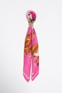 Charm pa&ntilde;uelo chihuahuas